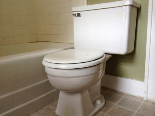 bath toilet before_500
