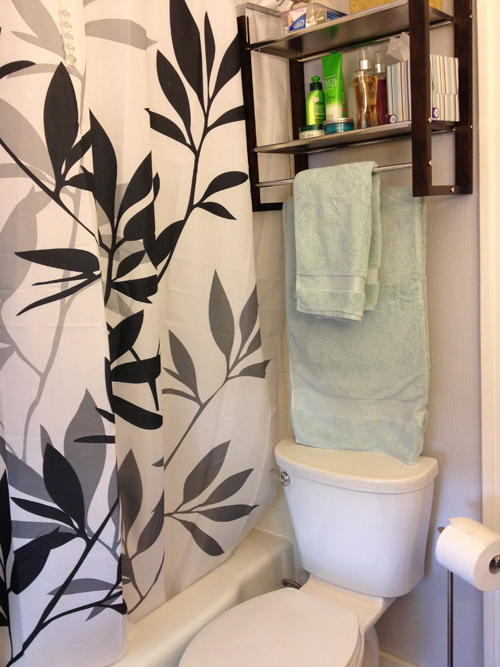 bathroom shelf_500