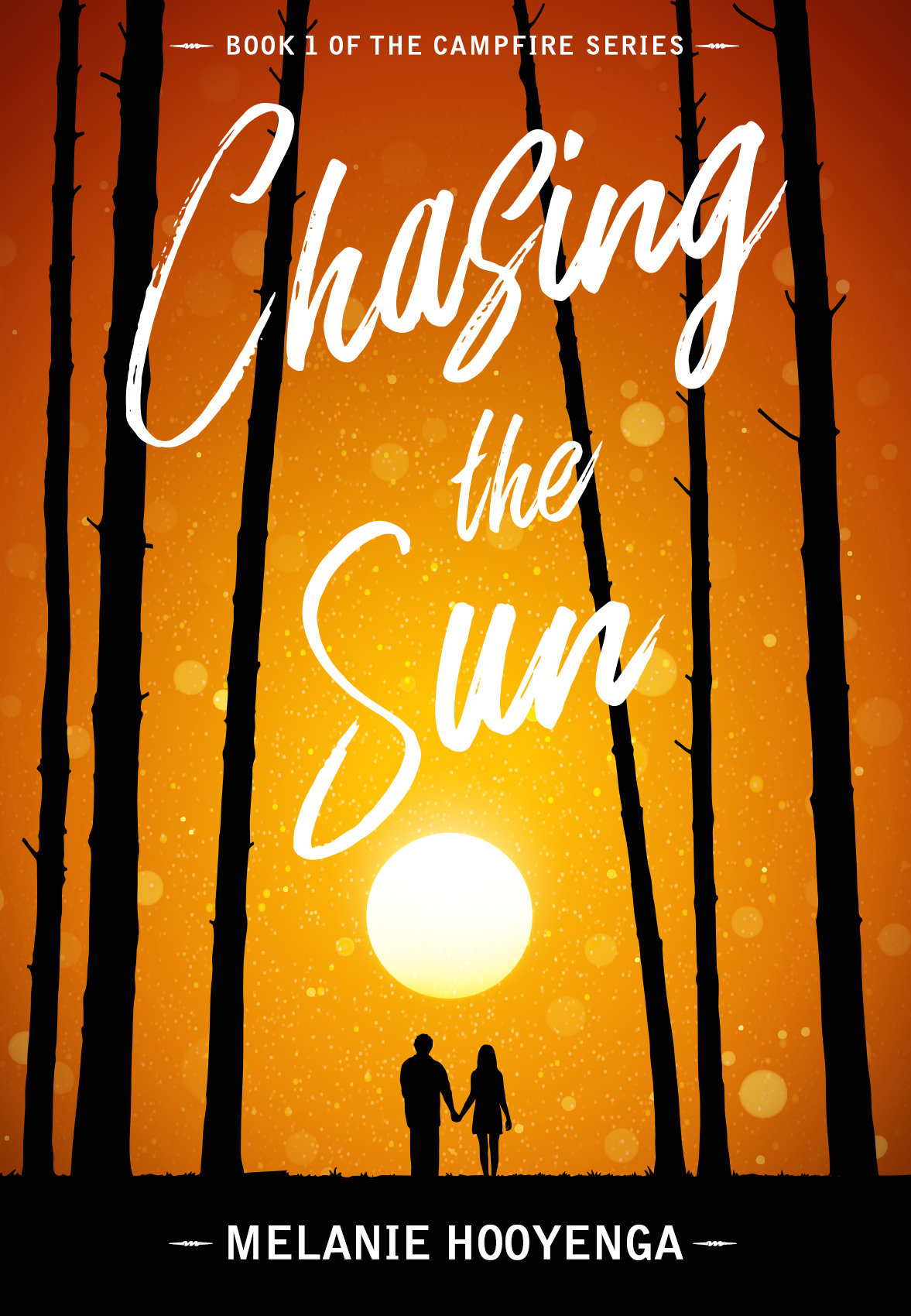 Chasing the Sun - Melanie Hooyenga